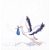 Serwetka -1642-